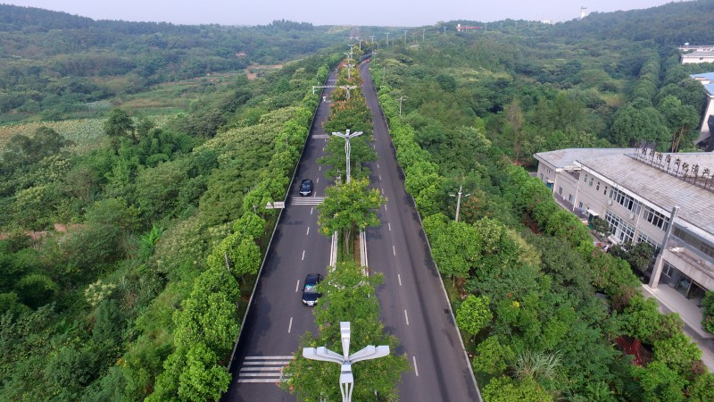 綿陽機場路改造提升（黑化）工程