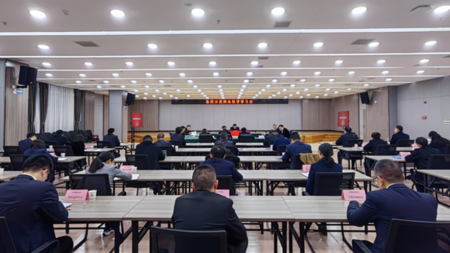 綿投集團黨委召開兩級聯(lián)學(xué)學(xué)習會_副本