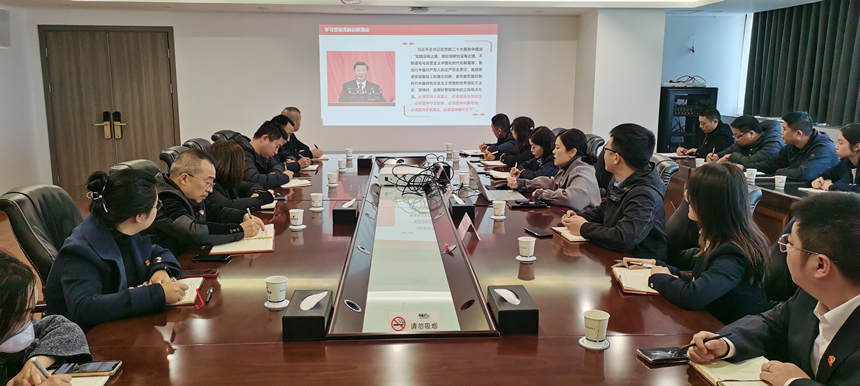 集團(tuán)黨委委員、副總經(jīng)理賀維維同志講授專題黨課